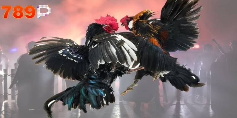 Người chơi nên bắt đầu với chiến thuật quan sát kỹ lối đánh